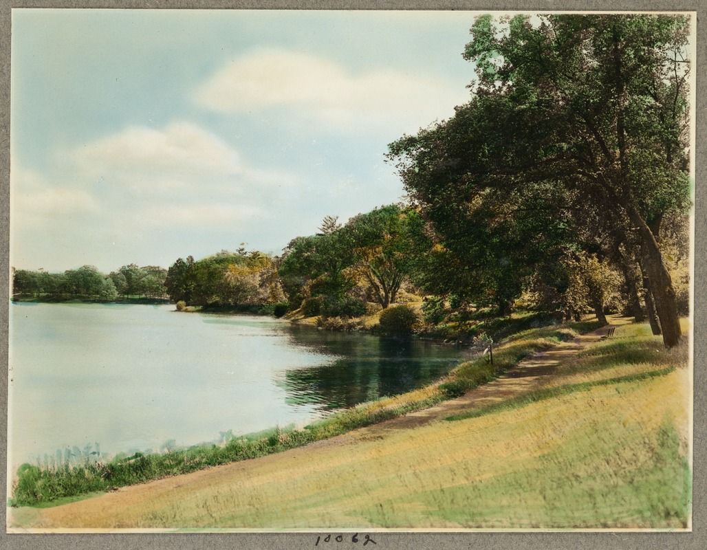 Br49 jamaica pond